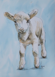 6. Lambs and sheep in watercolour art workshop